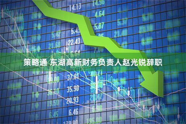 策略通 东湖高新财务负责人赵光锐辞职