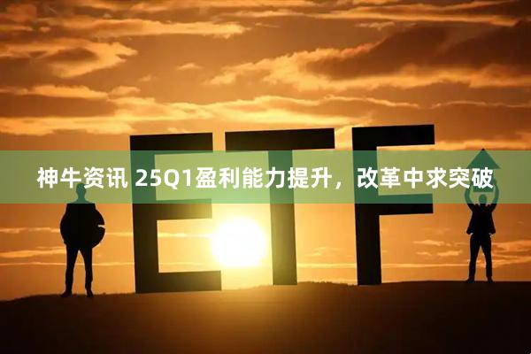 神牛资讯 25Q1盈利能力提升，改革中求突破